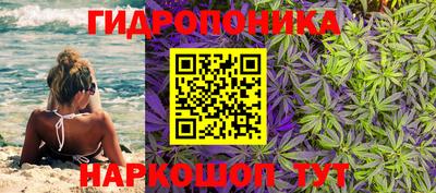 гашиш Аргун