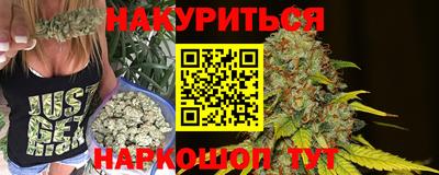 индика Апшеронск