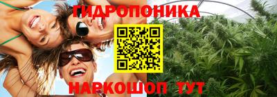 гашиш Аргун