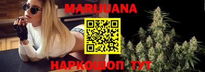 индика Апшеронск