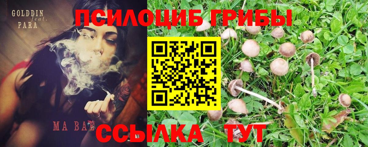Псилоцибиновые грибы мухоморы Верхняя Пышма