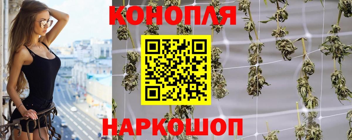 Каннабис MAZAR Верхняя Пышма